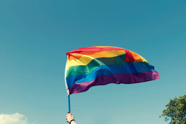 mani che tengono la bandiera arcobaleno del pride durante la parata del sofia pride messa a fuoco selettiva - homosexual beautiful sensuality love foto e immagini stock