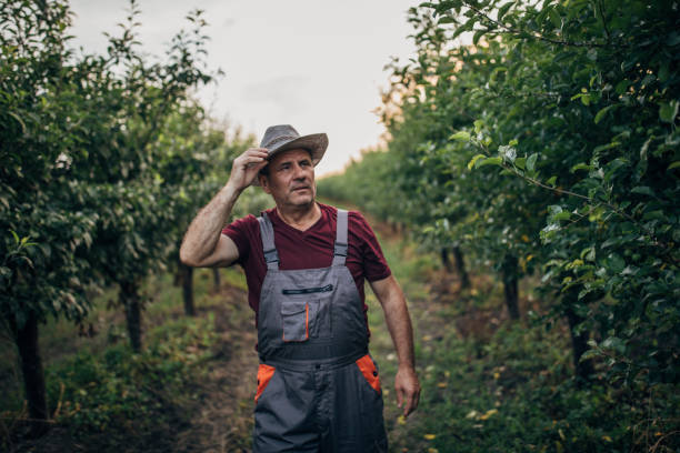 istock Farmer in the field 1155308449