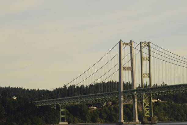 istock Tacoma Narrows Bridge Against Cloudy Sky 1155310468