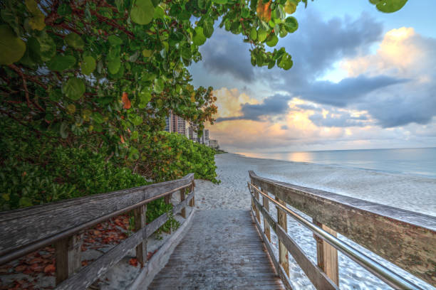 istock Boardwalk entering North Gulf Shore Beach in Naples 1155311907
