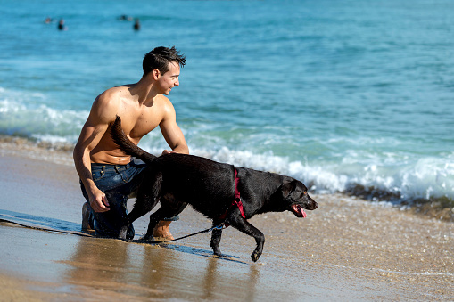 Man and French Bulldog running at coastline during beach holiday