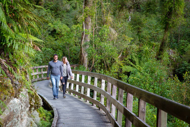 um par na caminhada do feriado ao longo da trilha da floresta no desfiladeiro de hokitika, nova zelândia - west coast living - fotografias e filmes do acervo