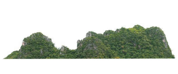 istock rock mountain hill with  green forest isolate on white background 1155326264