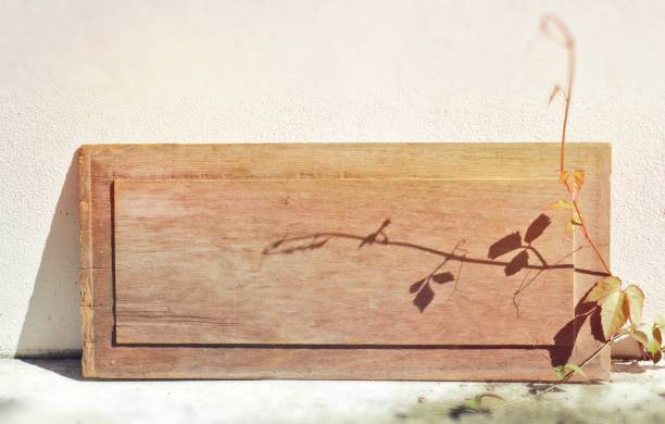 istock Old wood, square, name plate, brown, background 1155327006