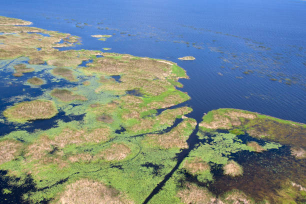 istock Aerial view Lake Okeechobee Florida 1155331157