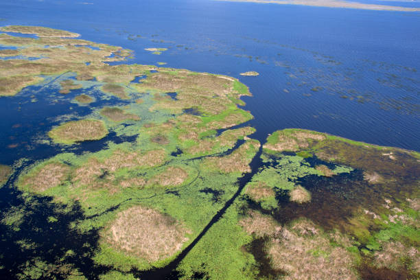 istock Aerial view Lake Okeechobee Florida 1155331203