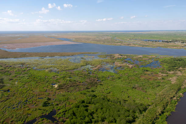 istock Aerial view Lake Okeechobee Florida 1155332311