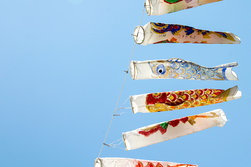 Japanese Koi Nobori carp hanging. Koi fish flag.