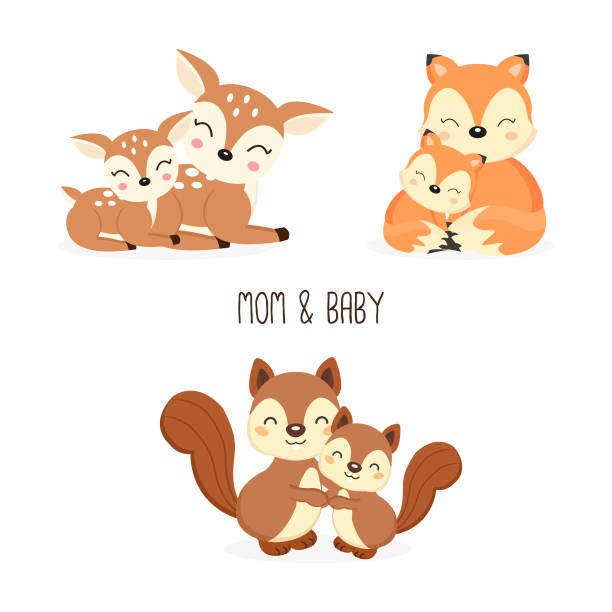 Mom And Baby Woodland Animals Foxesdeersquirrels Cartoon Stock Illustration  - Download Image Now - iStock