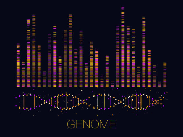 ilustraciones, imágenes clip art, dibujos animados e iconos de stock de gran visualización de datos genómicos - genealogical