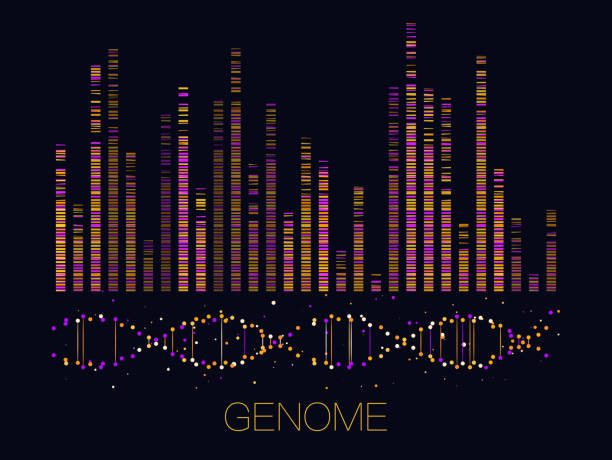 ilustrações, clipart, desenhos animados e ícones de visualização de dados genômica grande - image sequence
