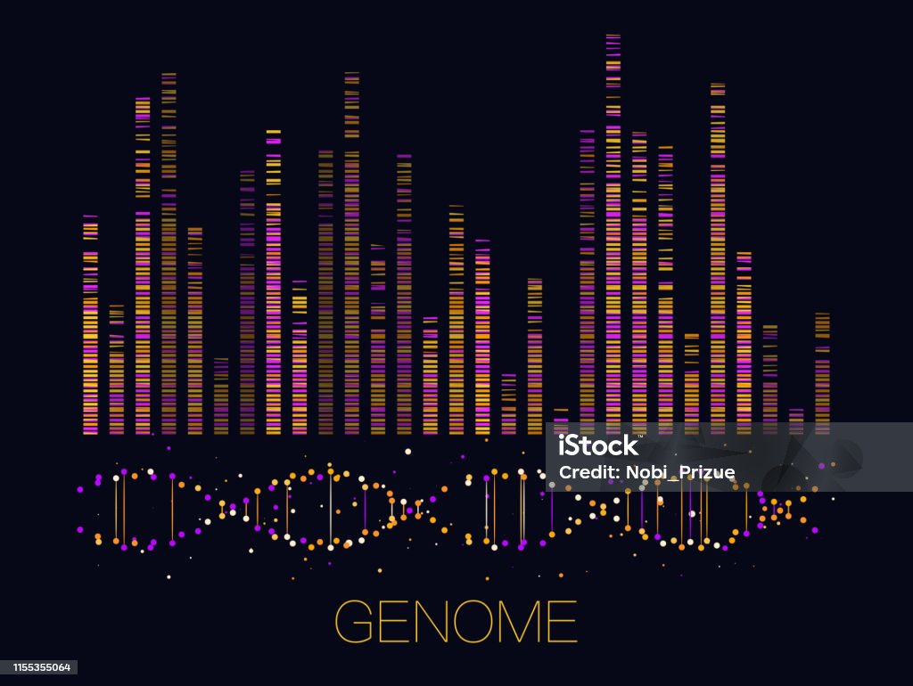 Big genomic data visualization Big genomic data visualization. DNA test, genom map. Graphic concept for your design DNA stock vector