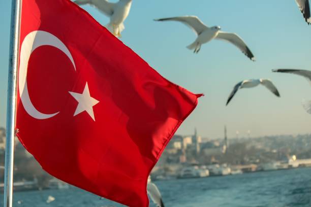 istock Turkish flag and seagulls in Istanbul 1155358532