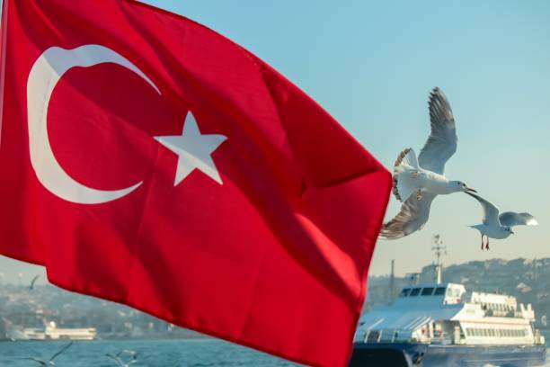 istock Turkish flag and seagulls in Istanbul 1155358559