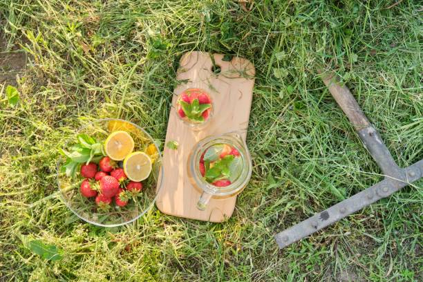 Summer refreshing natural homemade drinks, jug and glass of herbal tea with strawberries mint lemon on the grass