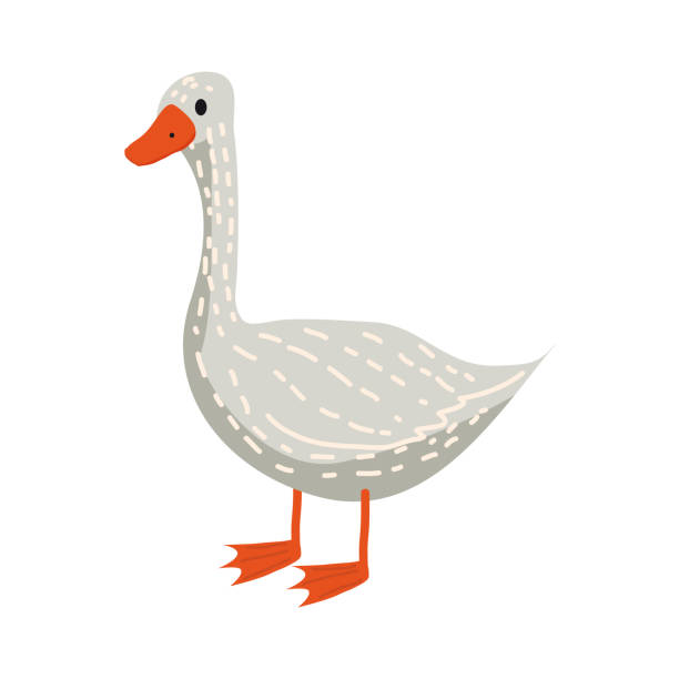 śliczna gęś, zwierzę, ptak, trend, styl kreskówki, wektor, ilustracja, odizolowane na białym tle - duck beak humor drawing stock illustrations