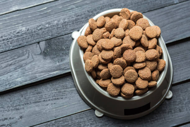 istock pets food on wooden floor 1155364396