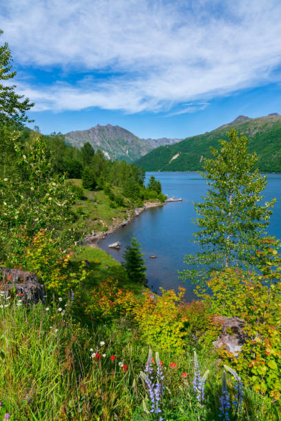 istock Spring Wildflowers Above Coldwater Lake On Spring Afternoon 1155366070