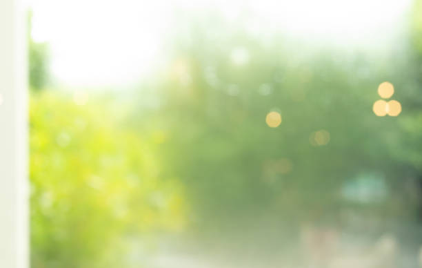 istock Blur of abstract green garden background from window 1155367323