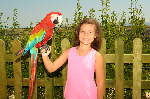 The child who is a parrot at her hand