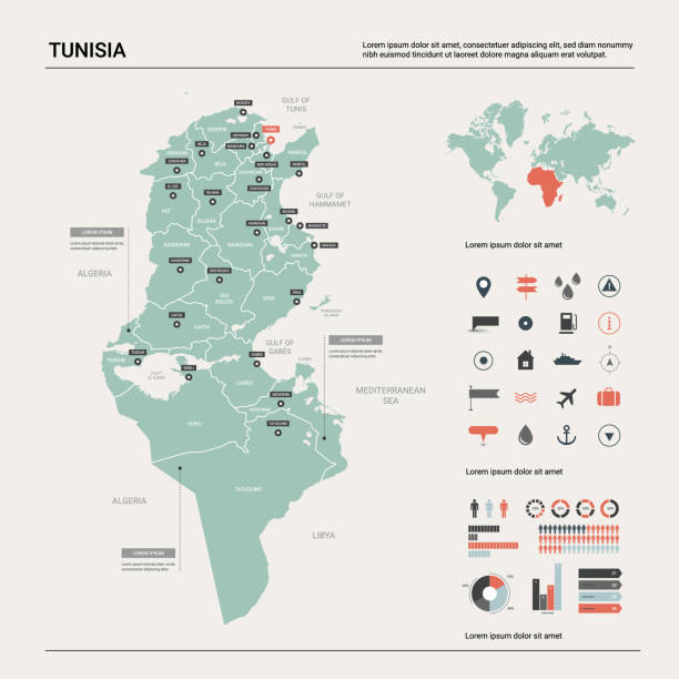 튀니지의 벡터 지도입니다. 디비 전, 도시 및 자본 튀니스와 국가 지도. 정치 지도, 세계 지도, 인포 그래픽 요소. - tunisia stock illustrations