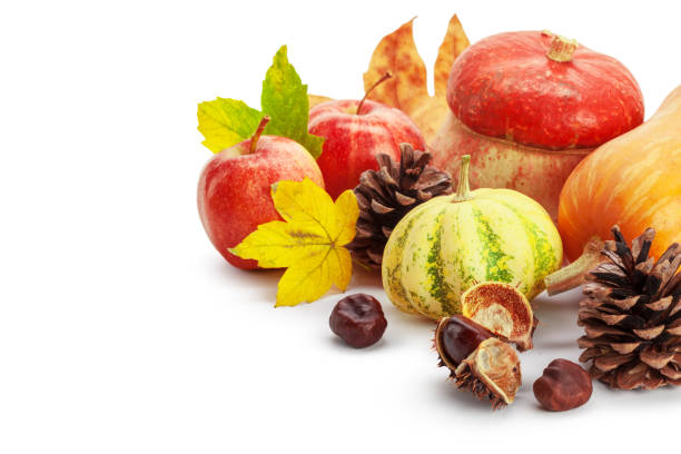 istock Autumn display with pumpkin and leaves isolated on white background 1155374366