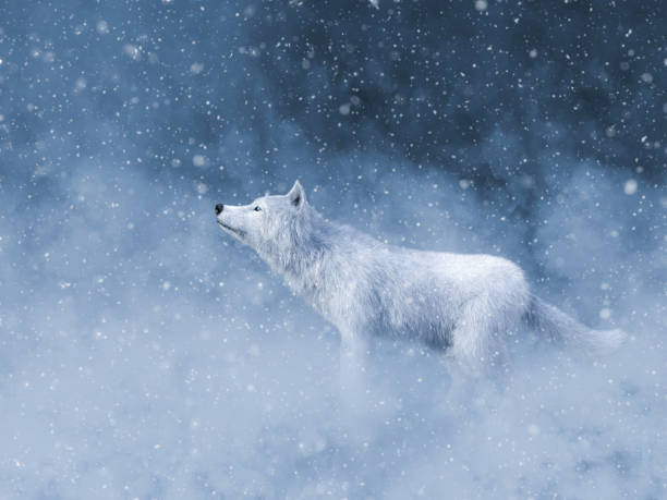 3D rendering of a majestic white wolf in snow.