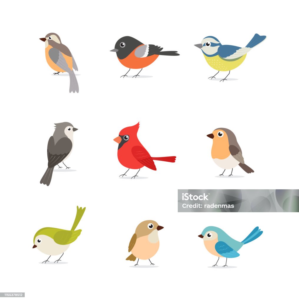 Satz von bunten Vögeln isoliert auf weißem Hintergrund - Lizenzfrei Vogel Vektorgrafik Satz von bunten Vögeln isoliert auf weißem Hintergrund - Lizenzfrei Vogel Vektorgrafik