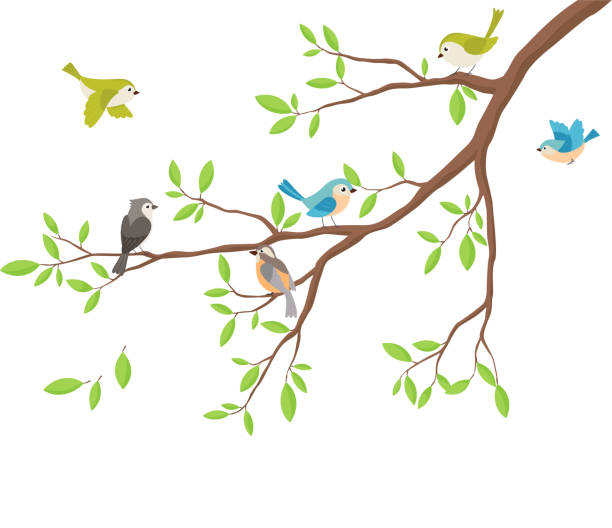 симпатичные птицы с веткой дерева - loving bird love birds nest stock illustrations