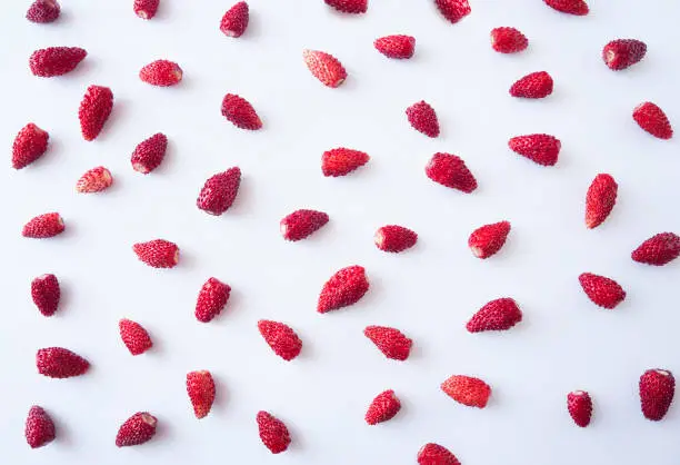 Background of wildberries on white. Fresh strawberries lay on white background. Ripe wild strawberry on a white background. Wild strawberries with copy space for text. Top view.