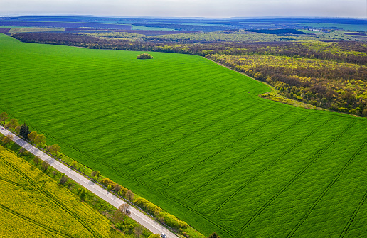 Aerial shot of fields with a tractor traces on the agricultural field sowing. Green field