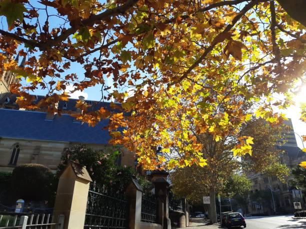 istock City in autumn 1155380044