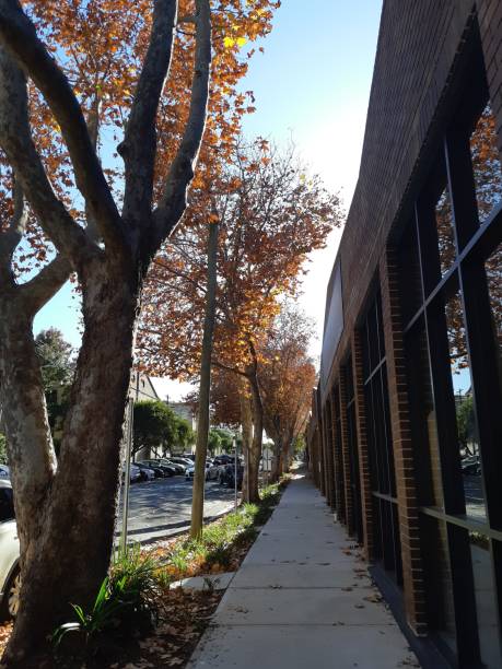 istock City in autumn 1155381510