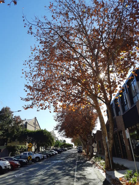 istock City in autumn 1155381633