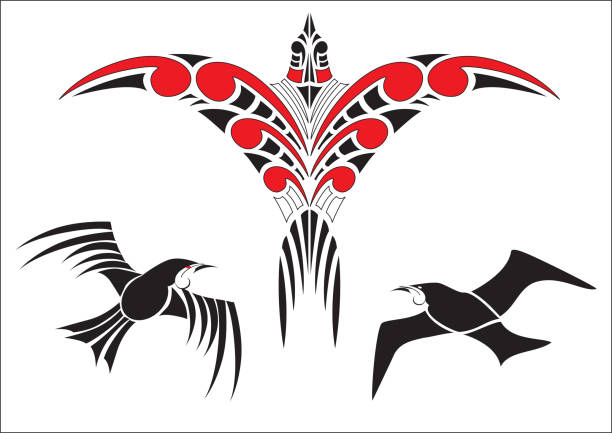 ilustrações de stock, clip art, desenhos animados e ícones de maori koru bird designs with tui - koru tattoo indigenous culture pattern