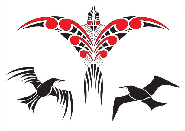 Maori Koru Bird Designs with Tui Collection of Maori Koru Bird Designs with color - each bird grouped koru pattern stock illustrations