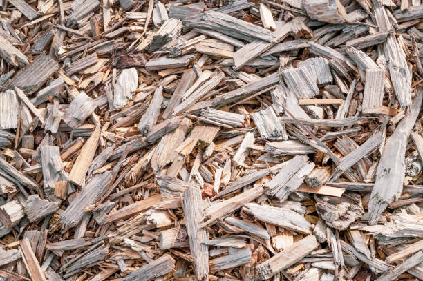 Pile of wooden pieces.Check out my lightboxes:
