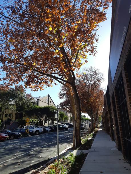 istock City in autumn 1155382443