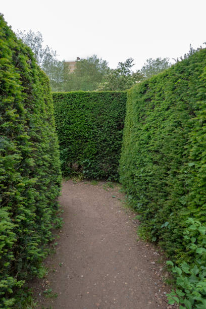 istock Lost in Amsterdam maze 1155392322