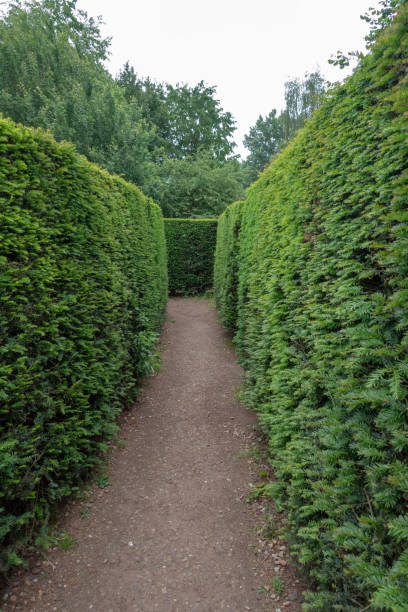 istock Lost in Amsterdam maze 1155392404