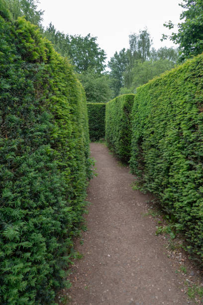 istock Lost in Amsterdam maze 1155392438