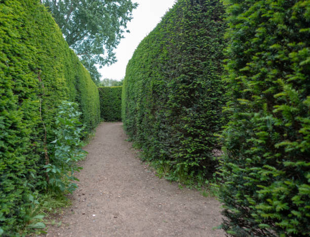 istock Lost in Amsterdam maze 1155392787