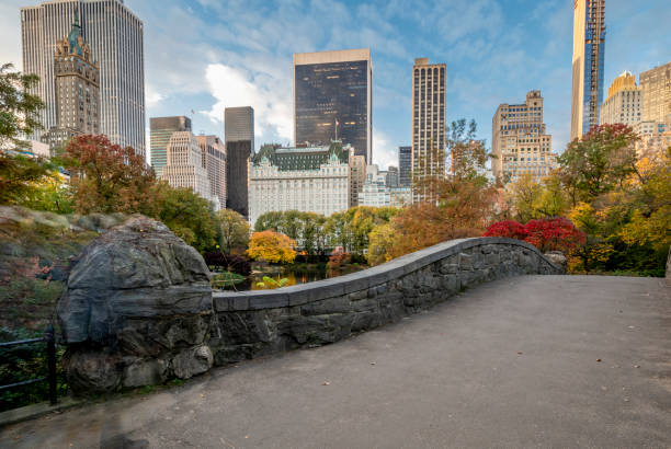 istock Gapstow Bridge in late autumn 1155393789