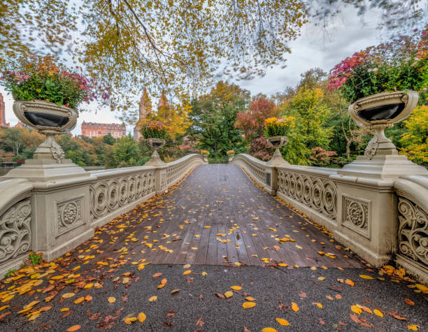 istock Bow bridge,Central Park, New York Cit 1155393860