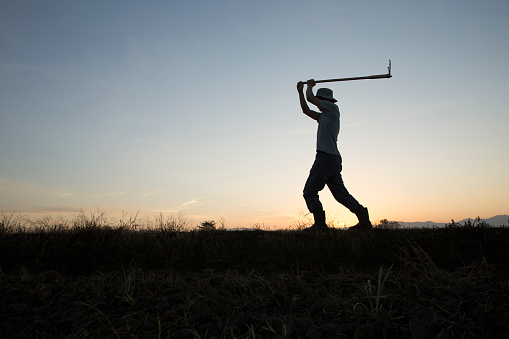 farmer hoeing on the land