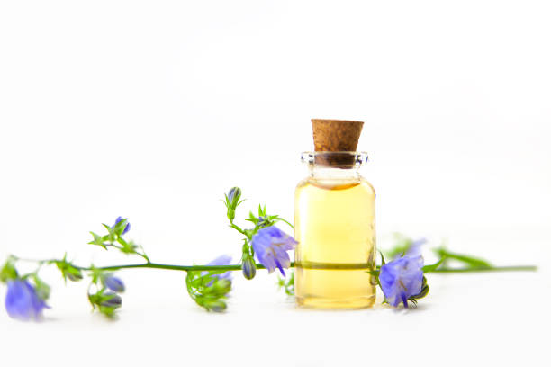 istock bellflower essential oil in  beautiful bottle on White background 1155395275