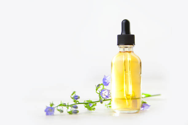 istock bellflower essential oil in  beautiful bottle on White background 1155395280