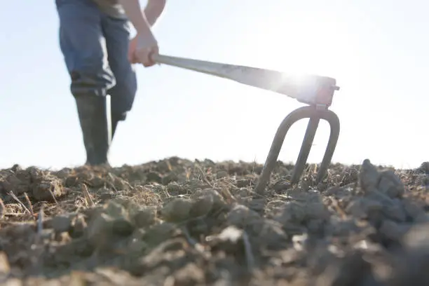 Photo of man hoeing