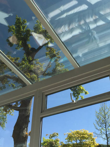 obraz prostokątnej białej oranżerii upvc ze szklanym dachem samoczyszczących się szklanych szyb zabarwionych, aby utrzymać oranżerię w chłodne dni w upalne letnie dni i nie przegrzewać, okna z podwójnymi szybami z widokiem na krajobrazowe drzewa - aluminum glass house window zdjęcia i obrazy z banku zdjęć