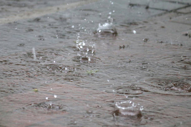 豪雨の土砂降りのイメージ/4 月のシャワーは、猫と犬を雨は、道路駐機場とブロック舗装車道のパティオ、雨しぶき水滴、飛沫、水たまり、洪水や波紋は、夏の嵐の間に濡れて、母の自然散� - raining cats and dogs 英語の慣用句 ストックフォトと画像